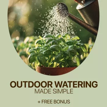 Outdoor Plant Watering: Timing, Depth & Seasonal Tips