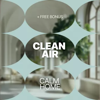 Dust-Reducing Cleaning Routines for a Calmer, Cleaner Air